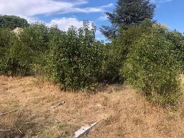 Terrain vente à Arrondissement de Toulon, Cuers