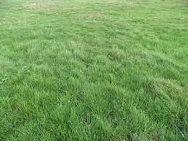 Terrain vente à Meaux, Dammartin-sur-tigeaux