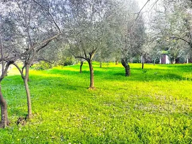 Terrain vente à Arrondissement de Draguignan, Draguignan