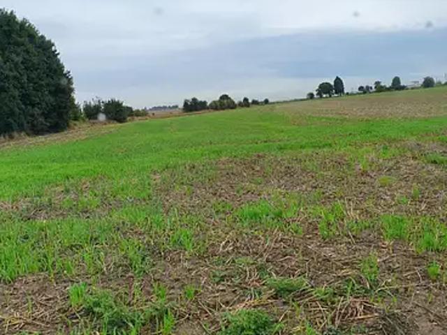Terrain vente à Arras, Ecurie
