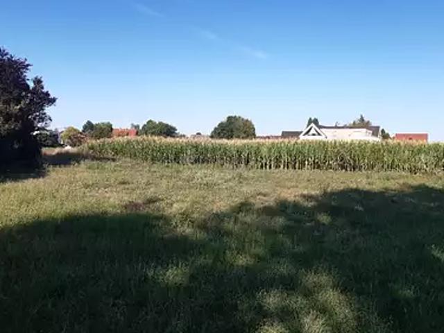 Terrain vente à Strasbourg, Eschau