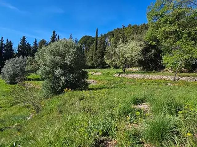 Terrain vente à Arrondissement de Draguignan, Fayence