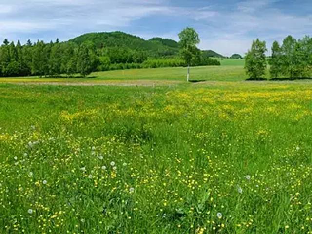 Terrain vente à Muret, Fontenilles
