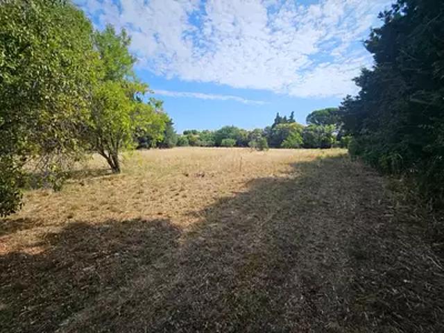 Terrain vente à Arles, Fontvieille