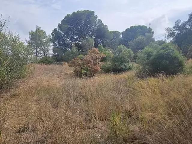 Terrain vente à Fréjus, Var