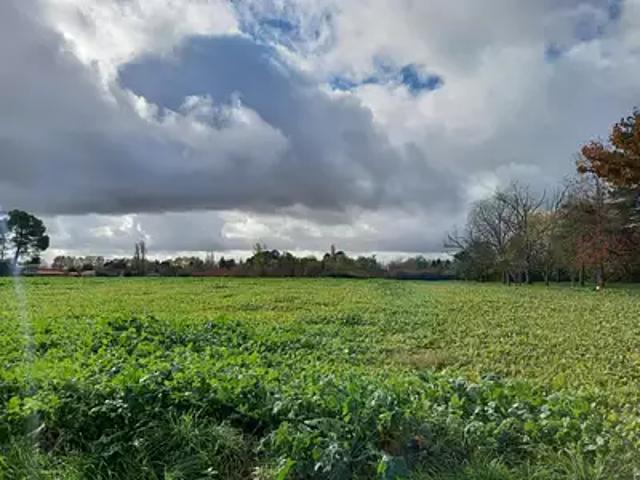 Terrain vente à L'Hortalisse, Gaillac