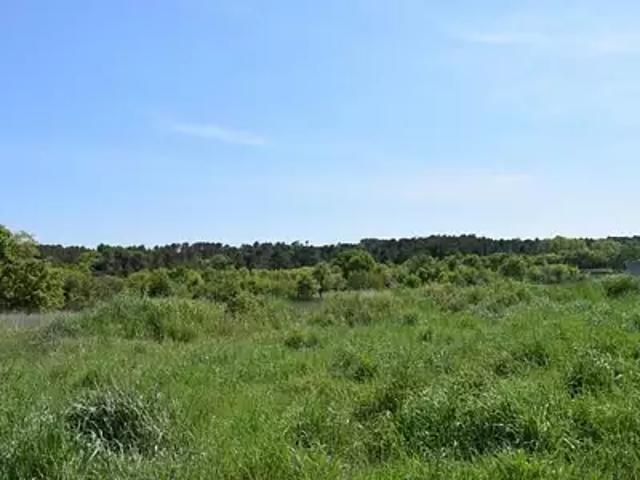 Terrain vente à Montpellier, Galargues