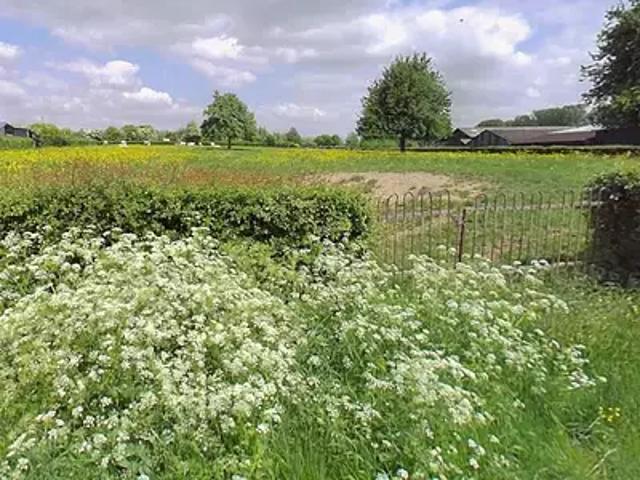 Terrain vente à Gommegnies, Nord