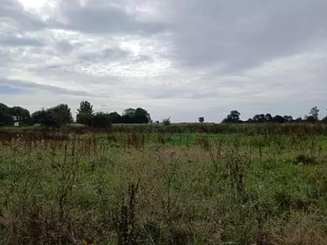 Terrain vente à Lisieux, Gonneville-en-auge