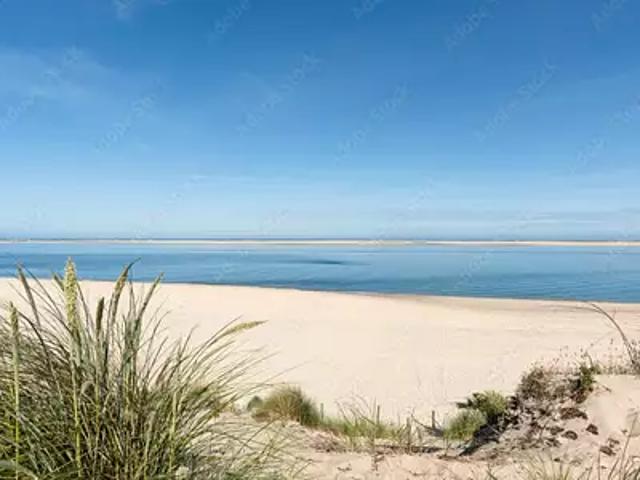 Terrain vente à Arcachon, Gujan-mestras