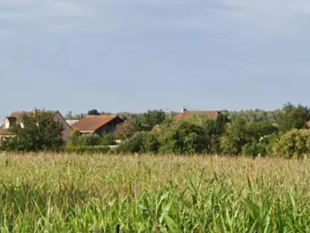 Terrain vente à Lille, Hantay
