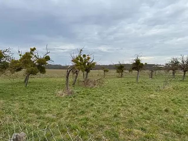 Terrain vente à Houdan, Yvelines