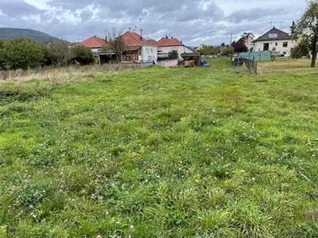 Terrain vente à Thann-Guebwiller, Issenheim