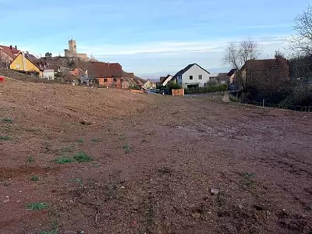 Terrain vente à Colmar-Ribeauvillé, Katzenthal