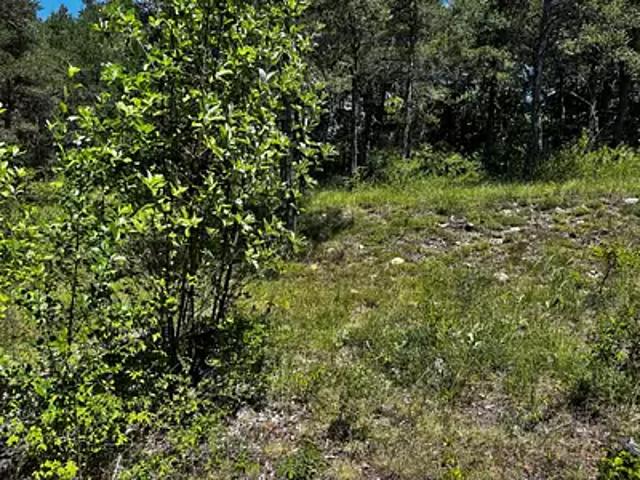 Terrain vente à Arrondissement de Draguignan, La Martre