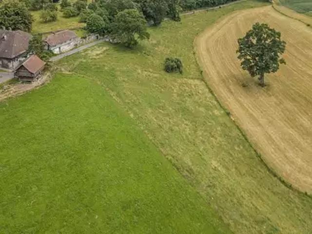Terrain vente à La Roche-sur-Yon, La Roche-sur-yon