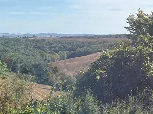 Terrain vente à Le Born, Haute-Garonne