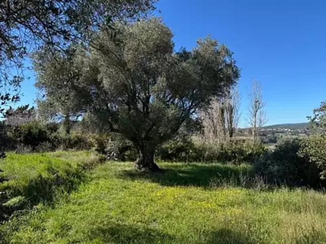 Terrain vente à Arrondissement de Toulon, Le Castellet