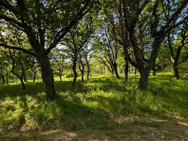Terrain vente à Nyons, Le Poët-laval