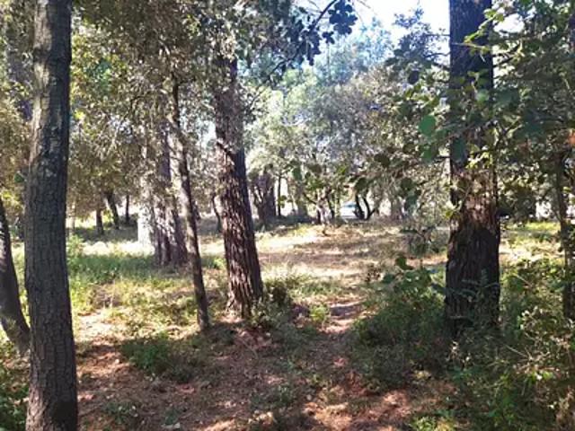 Terrain vente à Le Thoronet, Var