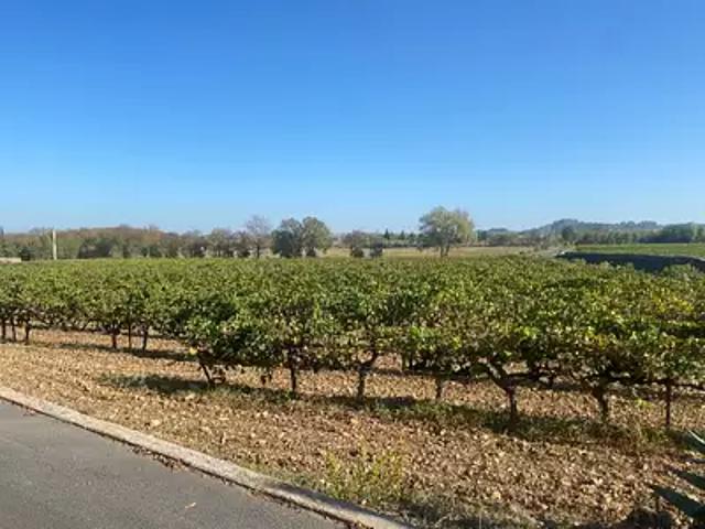 Terrain vente à Béziers, Lézignan-la-cèbe