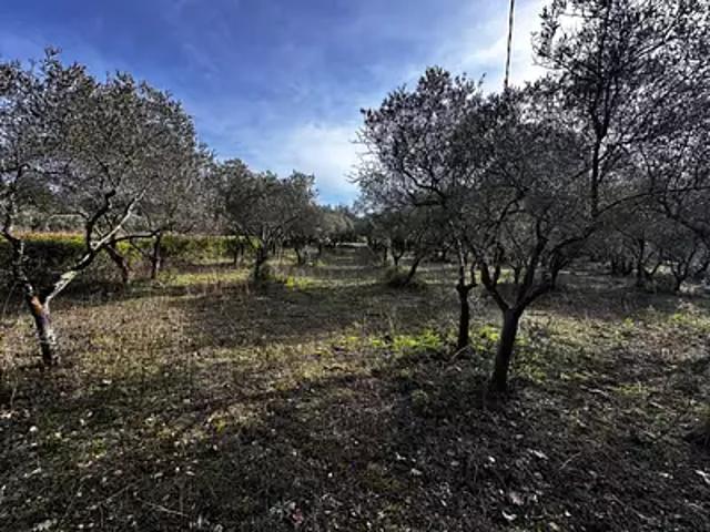 Terrain vente à Arrondissement de Draguignan, Lorgues