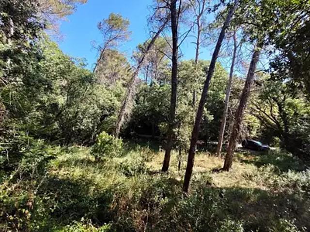Terrain vente à Arrondissement de Draguignan, Lorgues