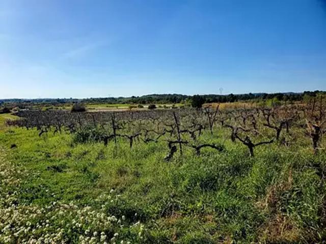 Terrain vente à Montpellier, Loupian