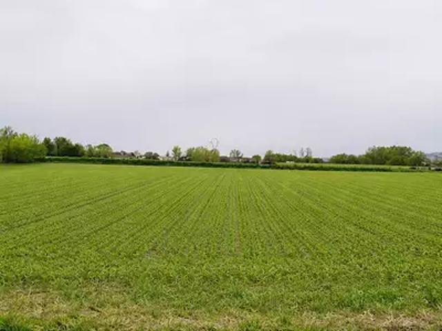 Terrain vente à Bourg-en-Bresse, Manziat