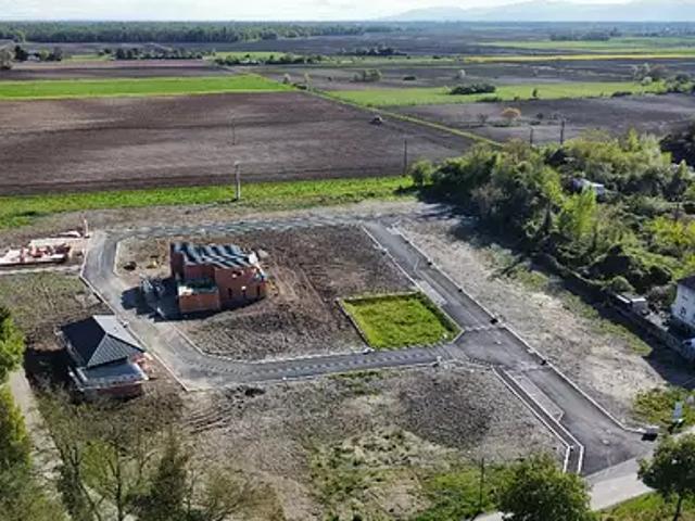 Terrain vente à Sélestat-Erstein, Marckolsheim