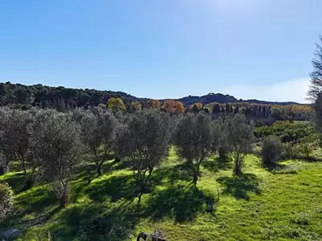 Terrain vente à Arles, Mas-blanc-des-alpilles