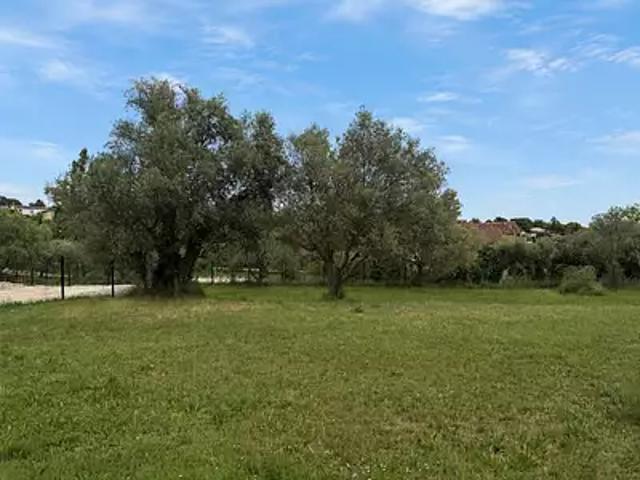 Terrain vente à Arrondissement de Draguignan, Montauroux