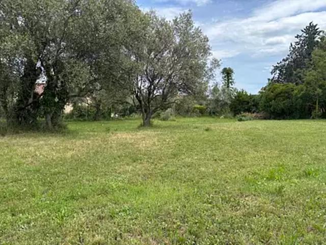 Terrain vente à Arrondissement de Draguignan, Montauroux