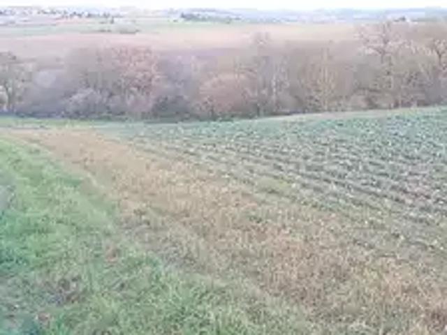 Terrain vente à Toulouse, Montbrun-lauragais