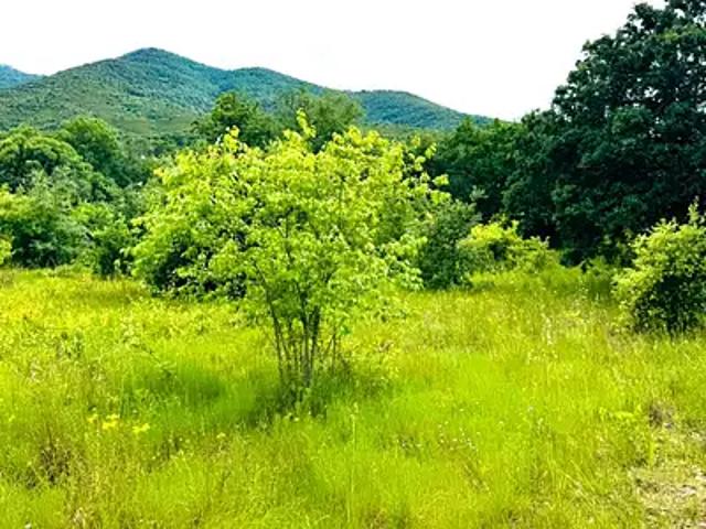 Terrain vente à Céret, Montesquieu-des-albères