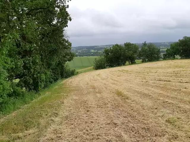 Terrain vente à Toulouse, Montjoire
