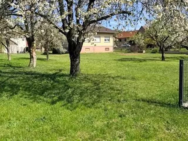 Terrain vente à Thann-Guebwiller, Osenbach