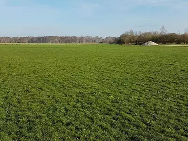 Terrain vente à Épernay, Oyes