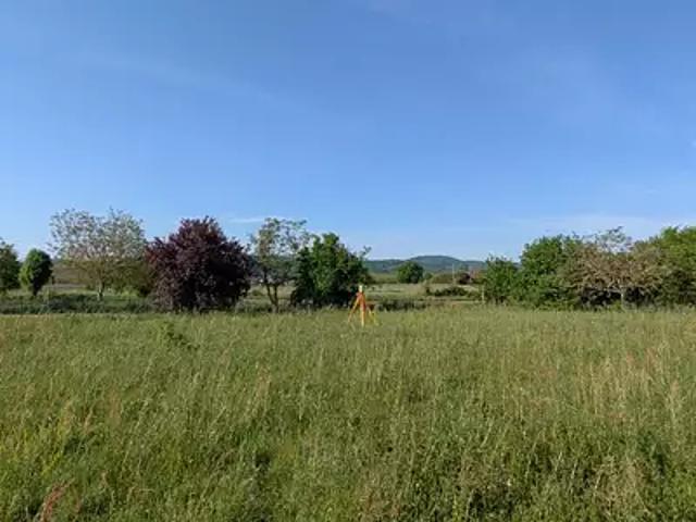 Terrain vente à Muret, Palaminy