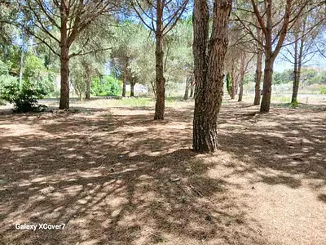 Terrain vente à Perpignan