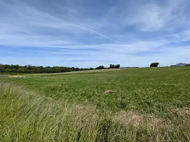 Terrain vente à Pizay, Ain