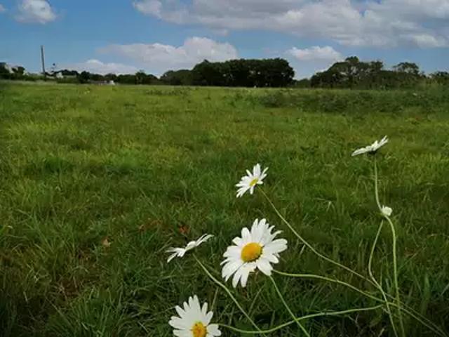 Terrain vente à Quimper, Bretagne