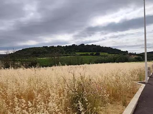Terrain vente à Narbonne, Portel-des-corbières