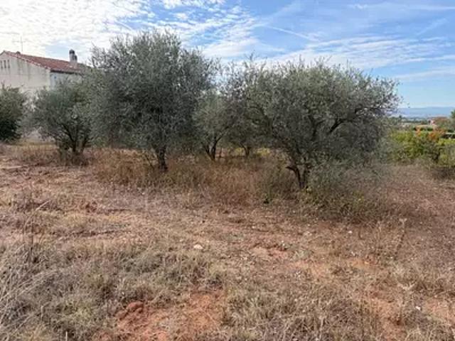 Terrain vente à Pourrières, Var