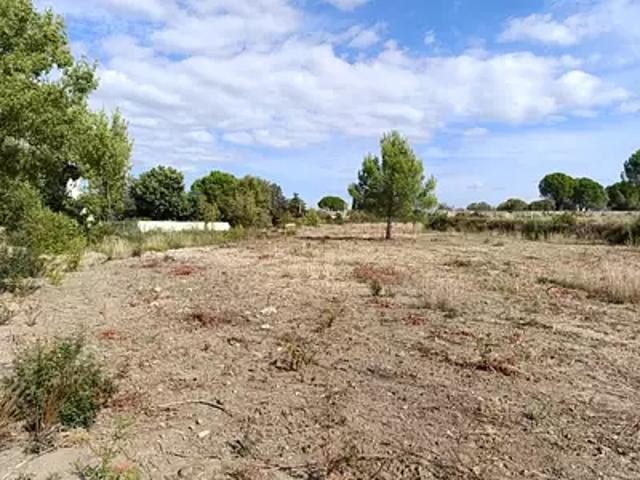 Terrain vente à Montpellier, Poussan