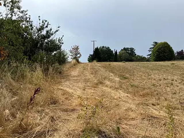 Terrain vente à Albi, Puygouzon