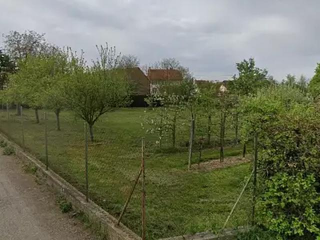 Terrain vente à Saverne, Ringendorf