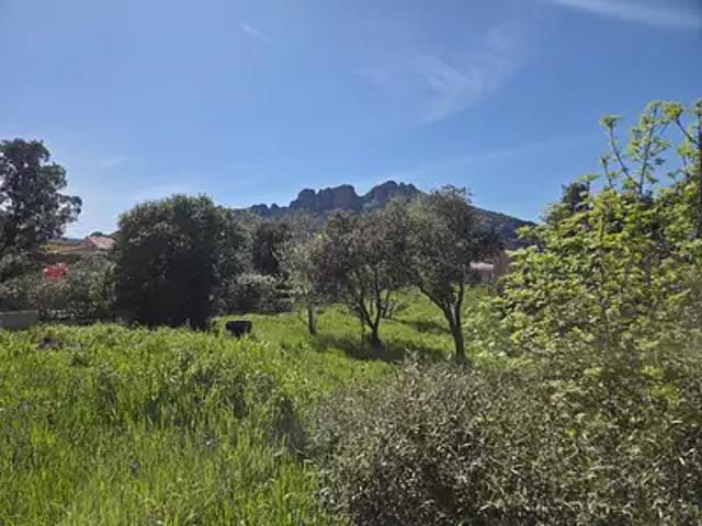 Terrain vente à Roquebrune-sur-Argens, Var