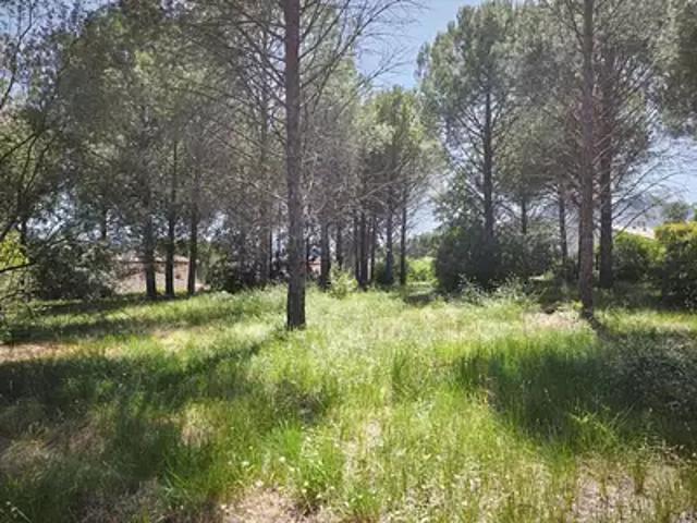 Terrain vente à Arrondissement de Draguignan, Roquebrune-sur-argens