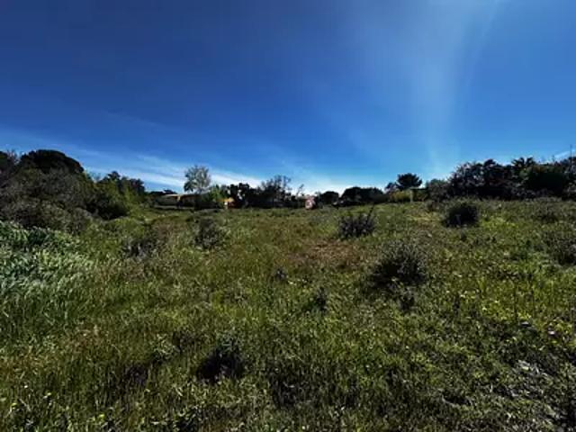 Terrain vente à Arrondissement de Draguignan, Roquebrune-sur-argens
